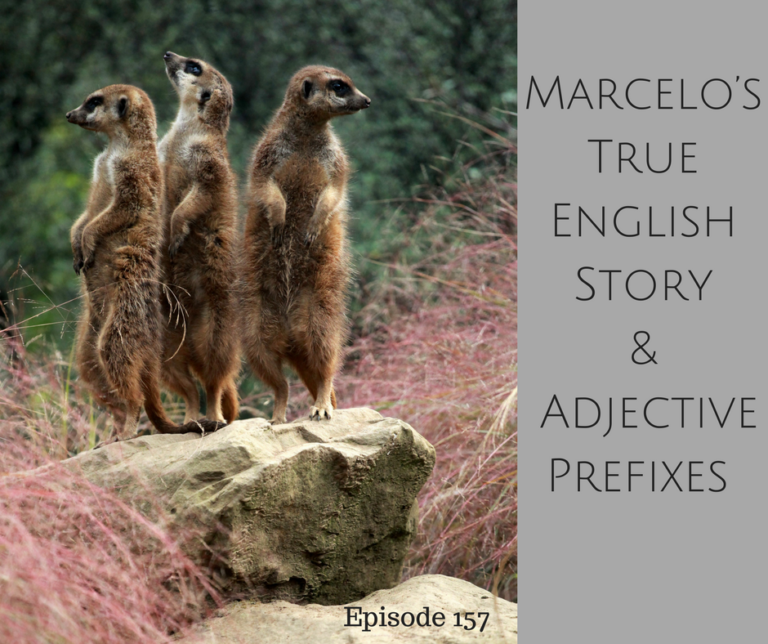 marcelo-s-true-english-story-and-adjective-prefixes-airc157