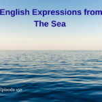 expressions from the sea