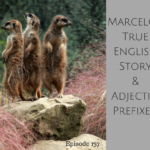 Marcelo’s True English Story and Adjective Prefixes