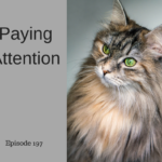 paying attention