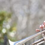 Symphony Music Show