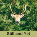 still and yet