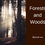 forests and trees