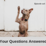 your questions answered