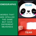 homographs