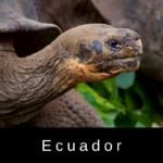 ecuador