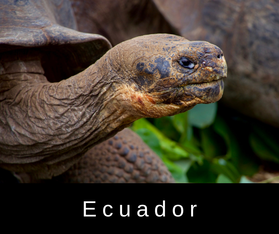 ecuador