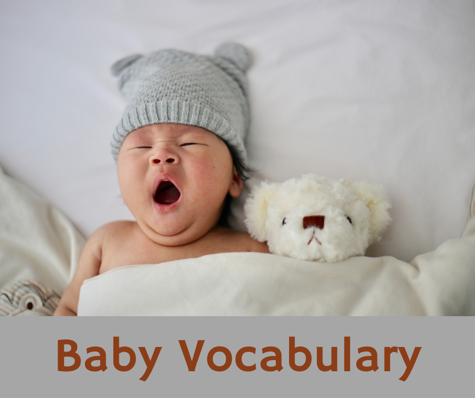 baby vocabulary