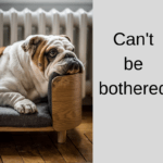 can't be bothered