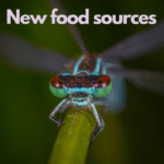 new food sources