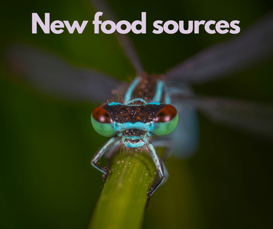 new food sources