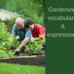 Gardening vocabulary and expressions
