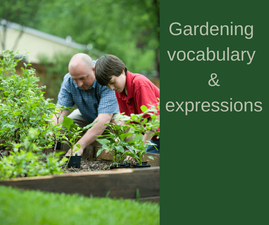 Gardening vocabulary and expressions