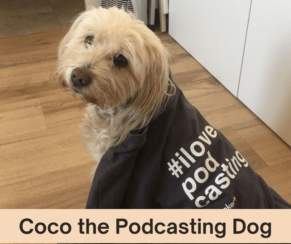 Coco the Podcasting Dog