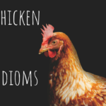 Chicken Idioms