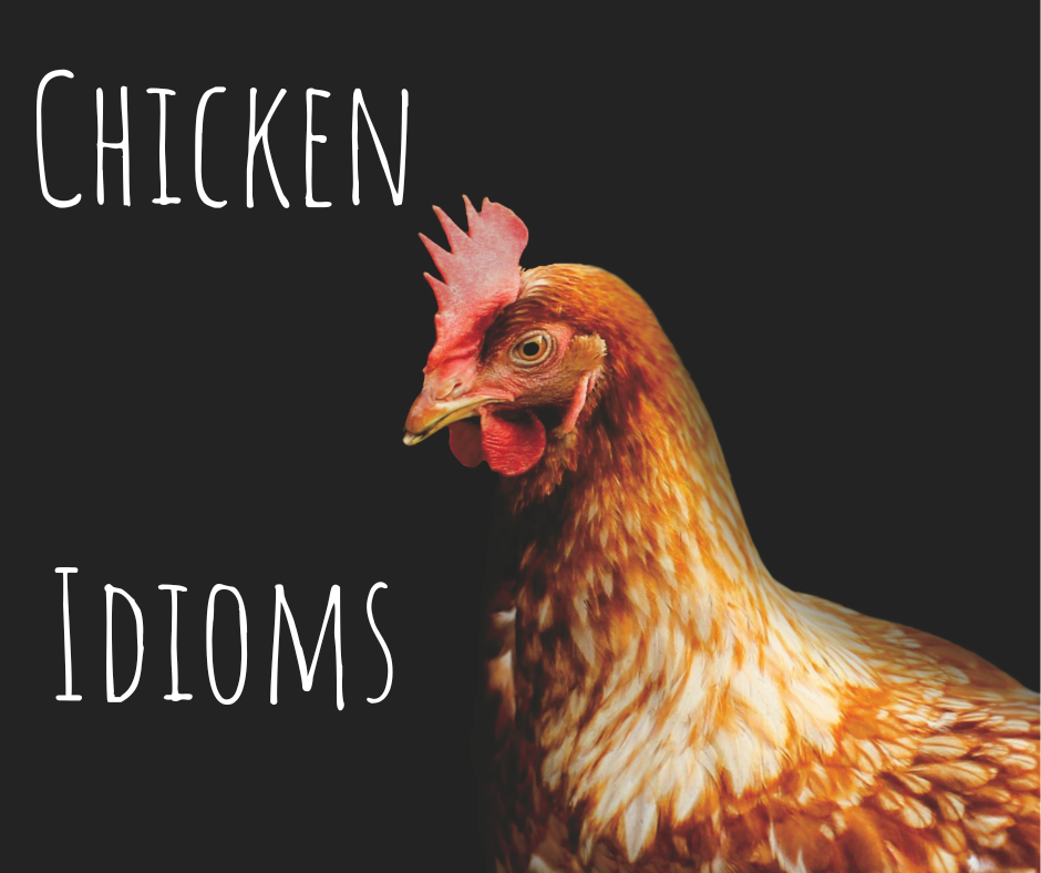 Chicken Idioms