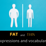 Fat and Thin Expressions and Vocabulary