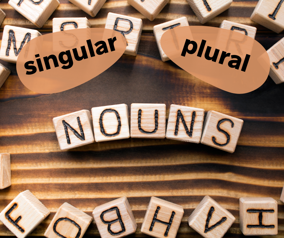 singular and plural nouns