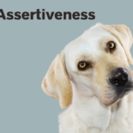 assertiveness