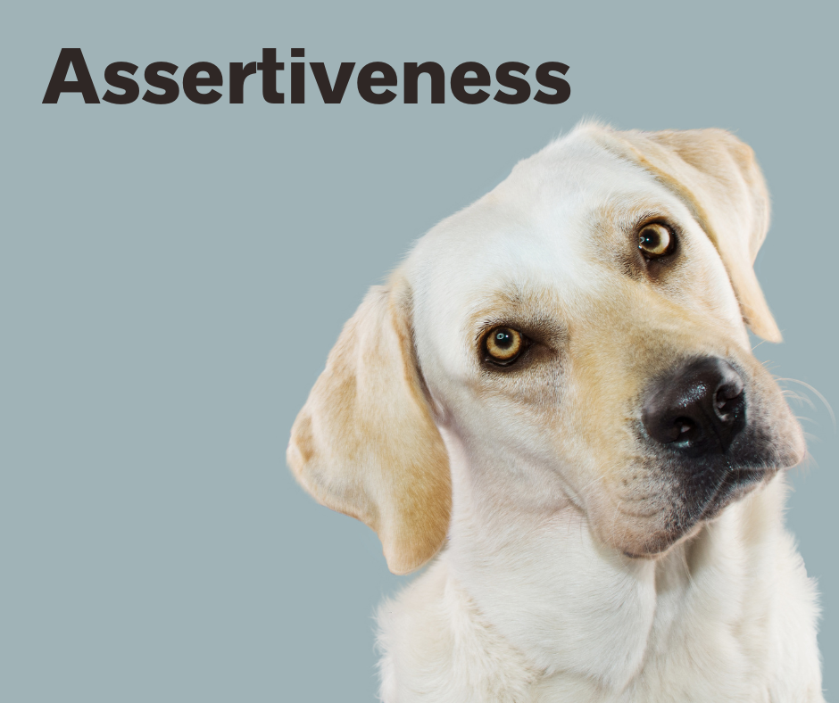 assertiveness