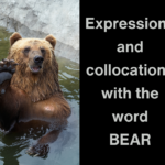 expressions with bear