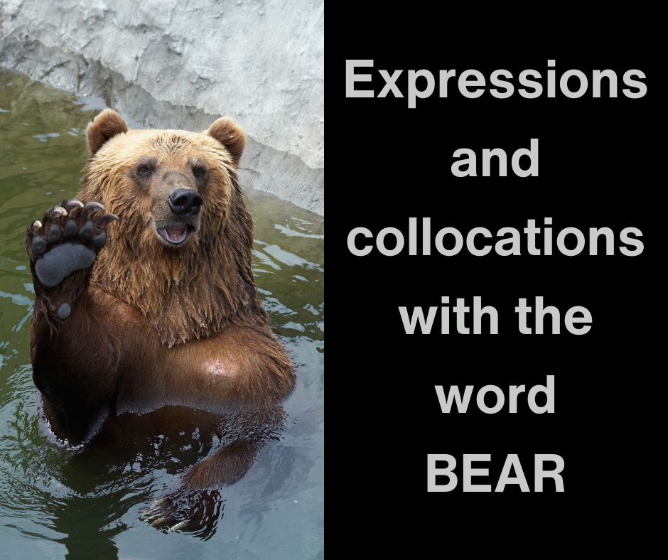 expressions with bear