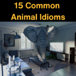 15 common animal idioms