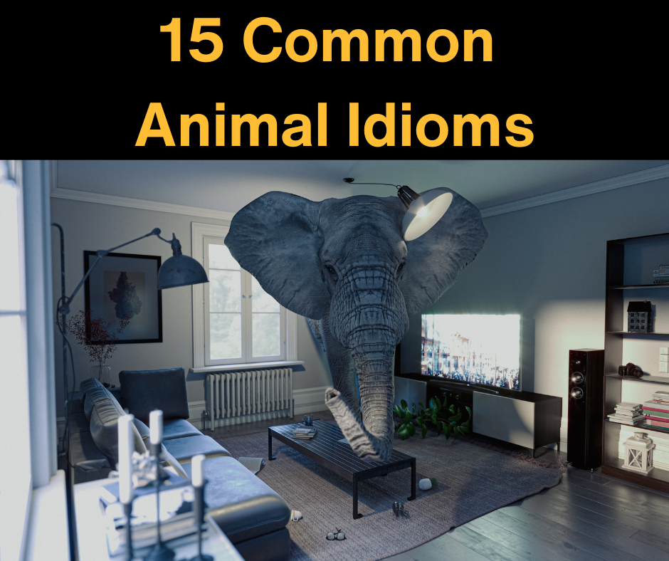 15 common animal idioms