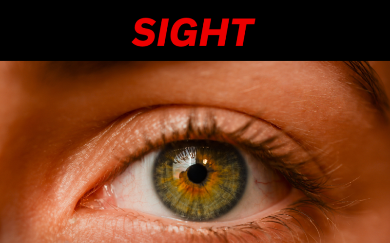 The Five Senses: Sight