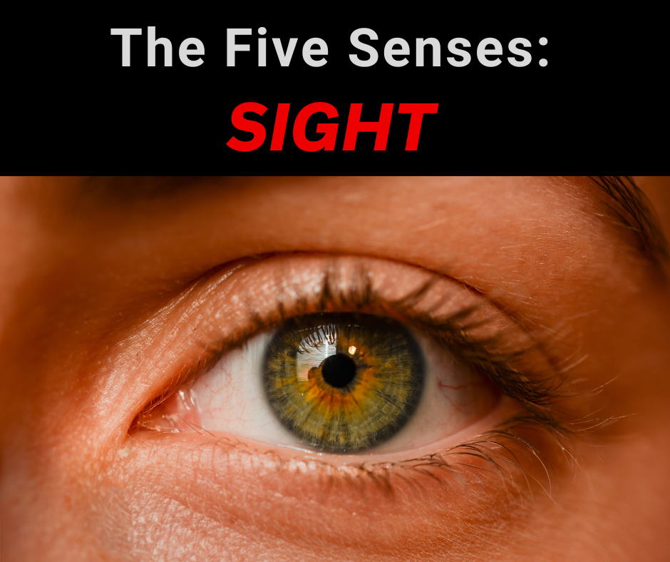 The Five Senses: Sight