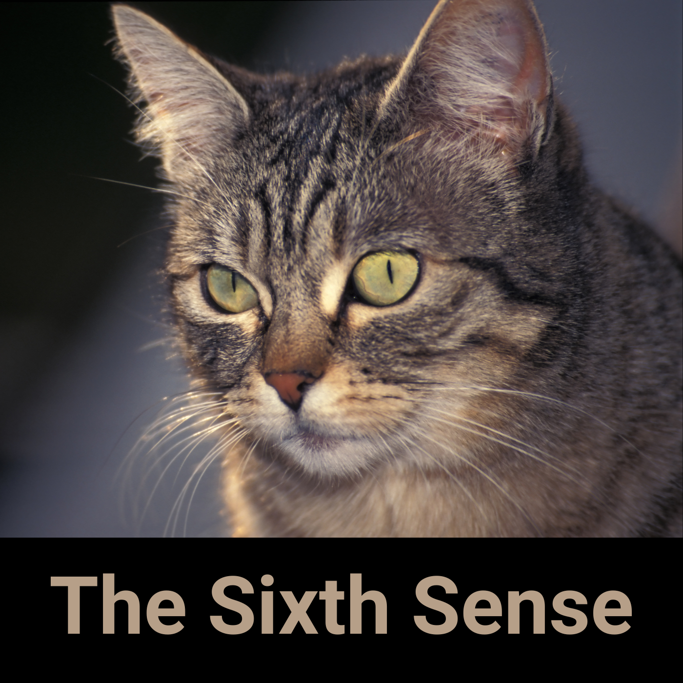 The Sixth Sense - AIRC569