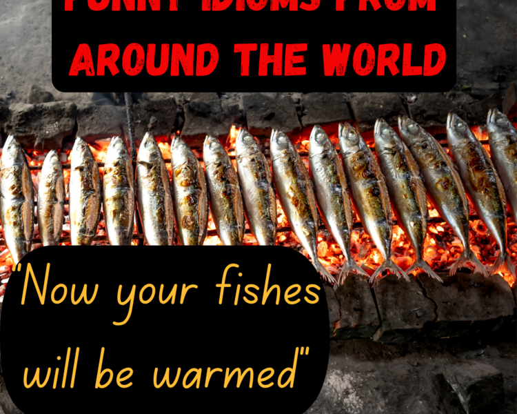 Funny idioms from around the world
