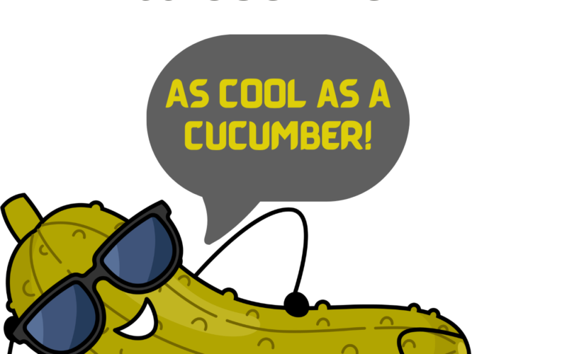 As Cool as a Cucumber! Learn Popular English Similes & How to Use Them