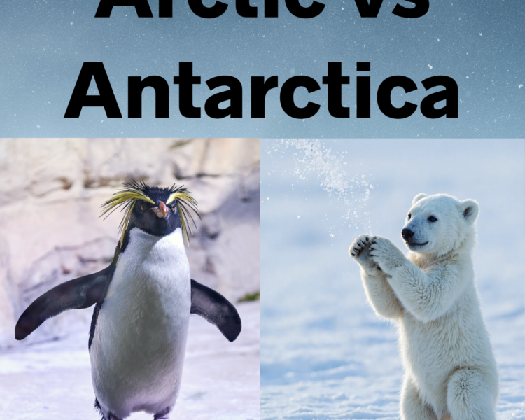 Arctic vs Antarctica: What Makes the Poles So Different?