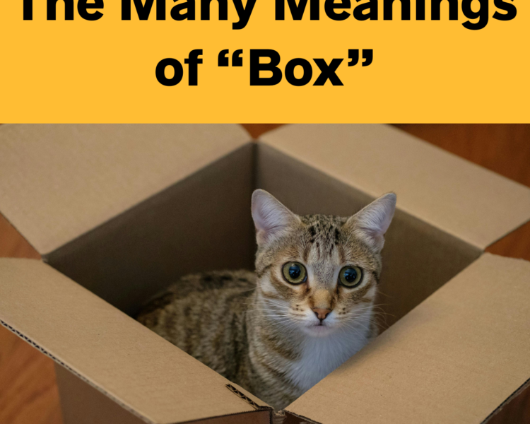 The Many Meanings of “Box” in English | Idioms, Collocations & Vocabulary