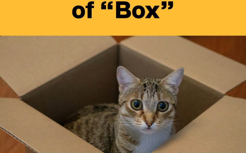 The Many Meanings of “Box” in English | Idioms, Collocations & Vocabulary