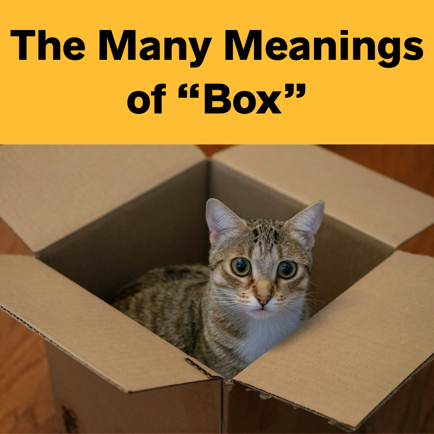 The Many Meanings of “Box” in English | Idioms, Collocations & Vocabulary