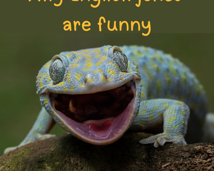 Why English jokes are funny - learn English humour and wordplay - AIRC638