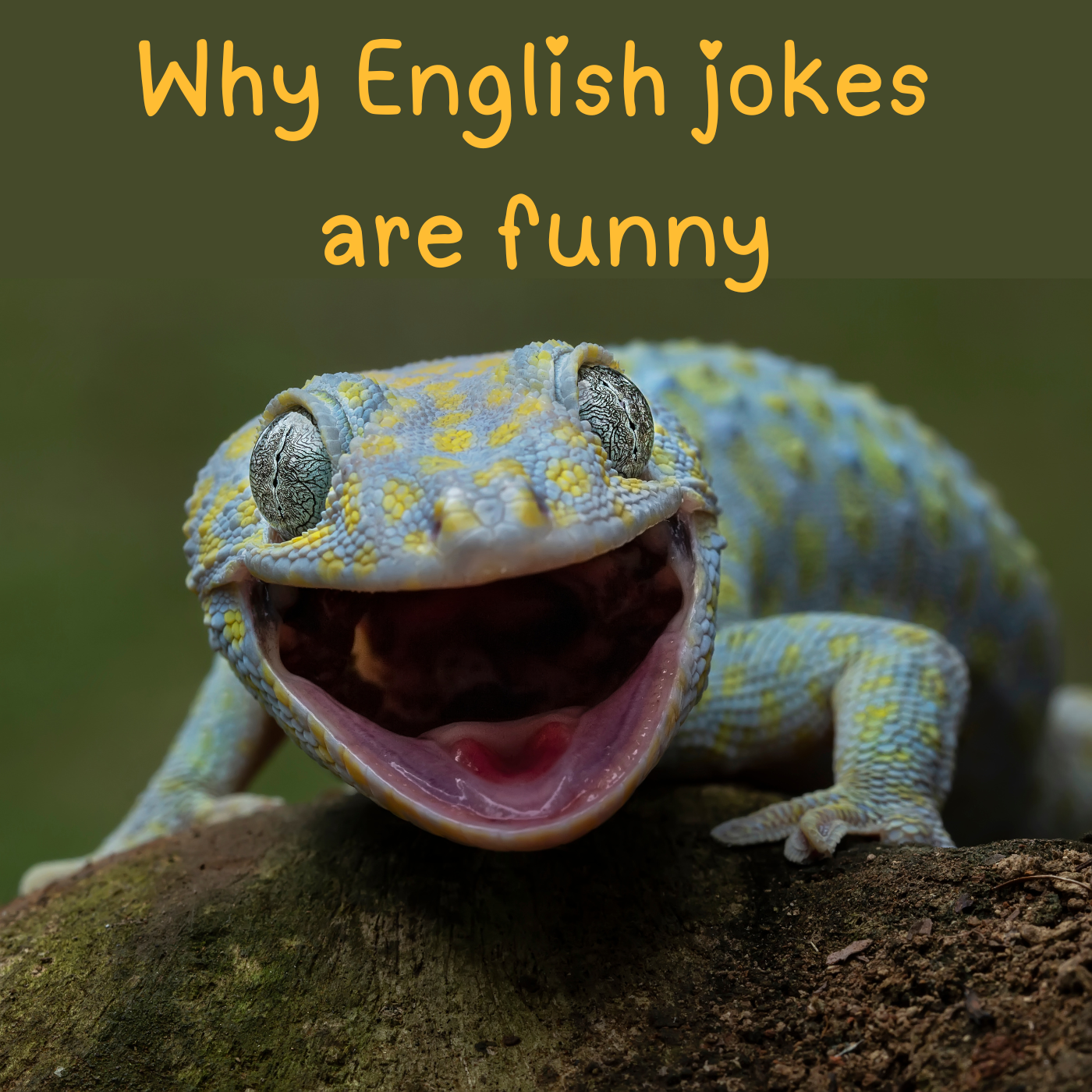 Why English jokes are funny - learn English humour and wordplay - AIRC638