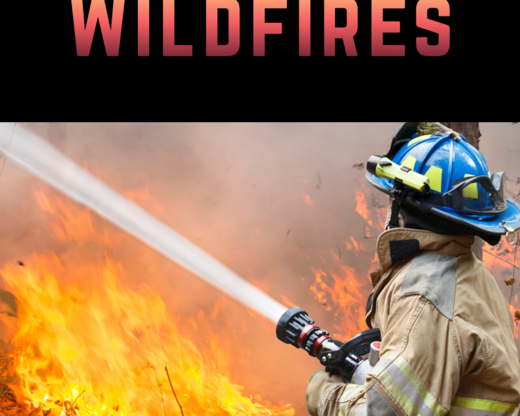 Wildfires and fire vocabulary - AIRC639