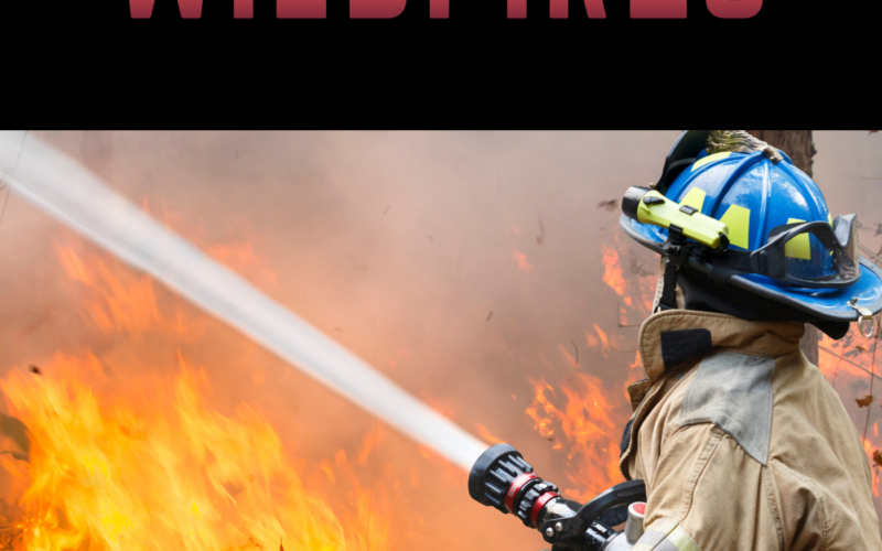 Wildfires and fire vocabulary - AIRC639