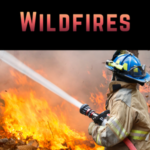 Wildfires and fire vocabulary - AIRC639