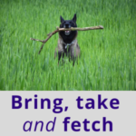 Bring, Take & Fetch Explained